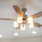Revolutionary Guide: Best Ceiling Fans With Lighting That Transform Living Rooms